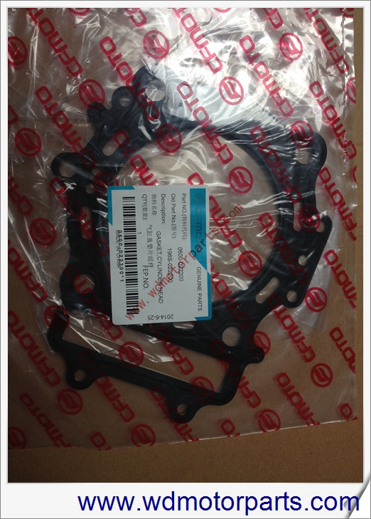 Gasket cylinder head WD-10015