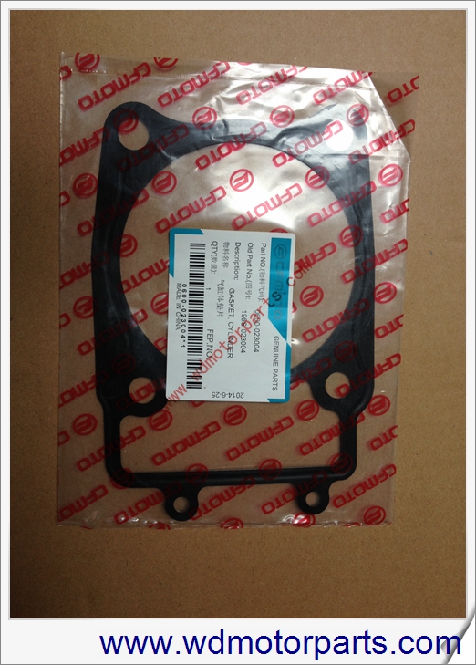 Gasket cylinder WD-10016